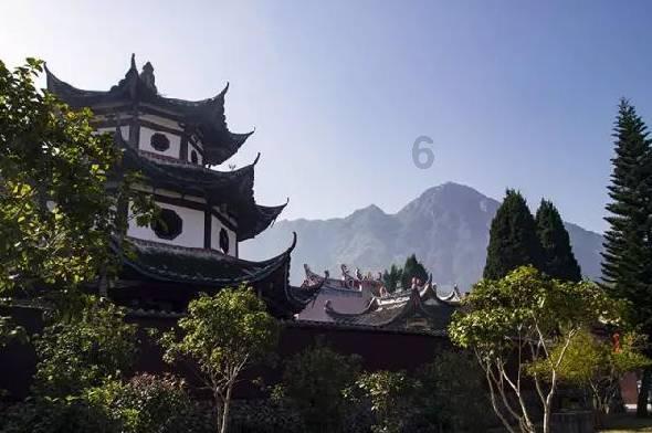 美人鱼的聚会